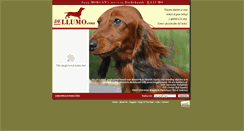 Desktop Screenshot of dellumo.com