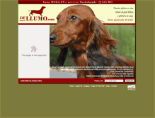 Tablet Screenshot of dellumo.com
